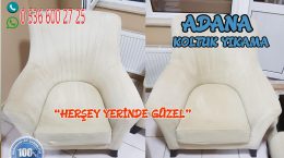 Sarıçam Balcalı Toki Berjer Yıkama