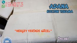 Sarıçam Balcalı Toki Konutları Koltuk Yıkama