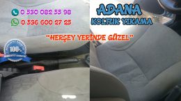 Araç Koltuk Yıkama ( Fiat Palio )