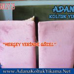 Adana Mavi Bulvar Sandalye Yıkama