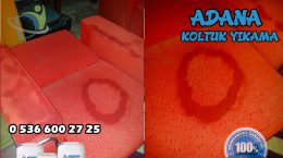 Adana Koltuk Yıkama + Leke Çıkarma